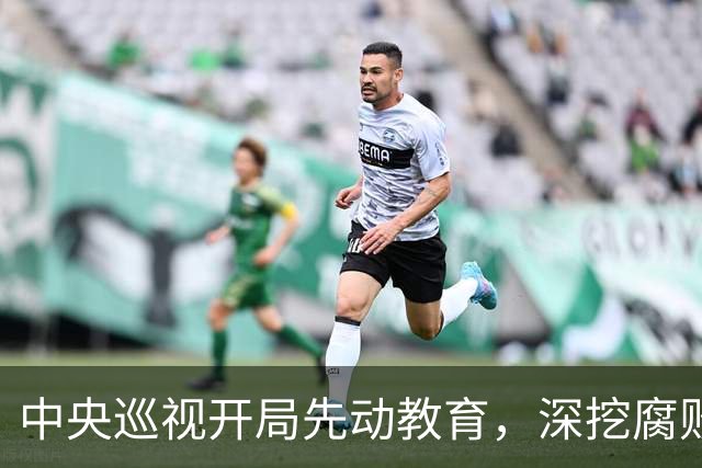 中央巡视开局先动教育，深挖腐败与学术造假，因攸关十五五规划