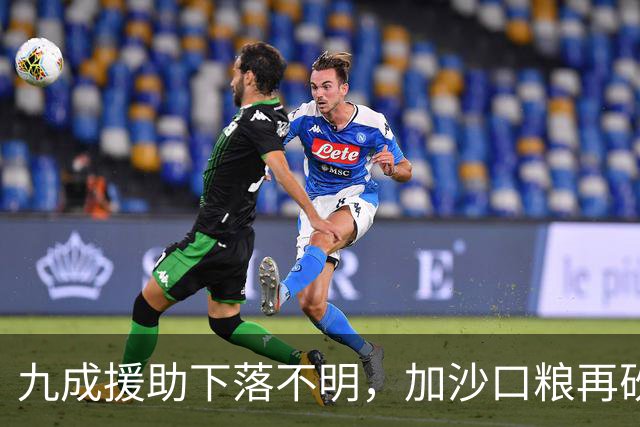 九成援助下落不明，加沙口粮再砍三分之一，欧洲的善意已经见底