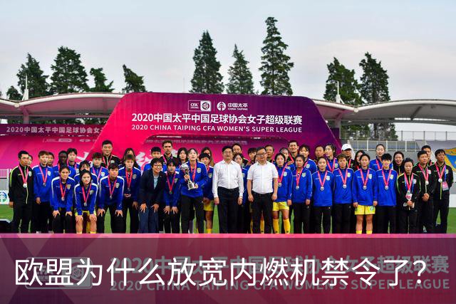 欧盟为什么放宽内燃机禁令了？