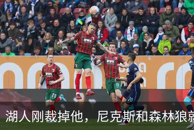湖人刚裁掉他，尼克斯和森林狼就盯上了