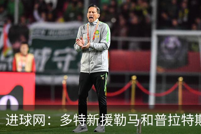 进球网：多特新援勒马和普拉特斯进展不顺，两人加盟后机会寥寥